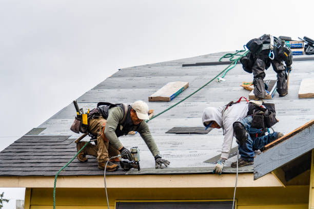 Professional Roofing technician working in Singers Glen, VA